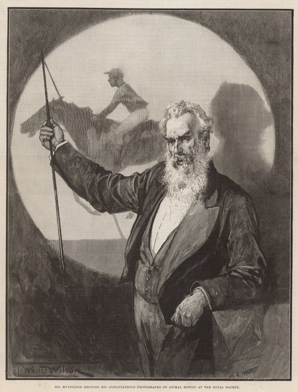 Muybridge úr azonnali fényképeit mutatja az állatok mozgásáról a Királyi Társaságban alkotó: Thomas Walter Wilson