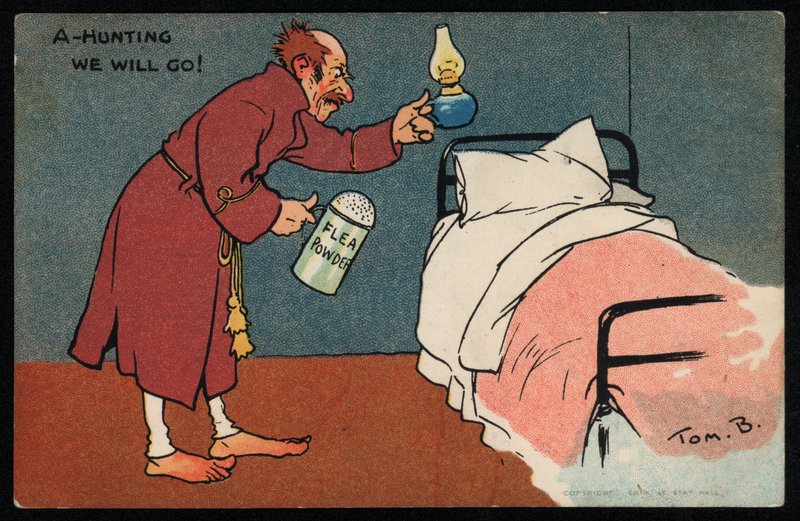 Férfi bolhákra vadászik az ágyában (chromolitho) alkotó: Tom Browne