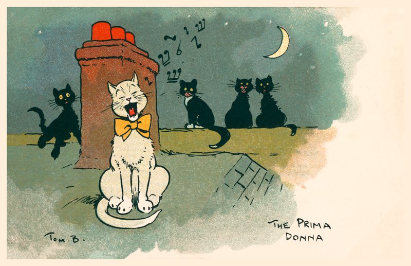 A Prima Donna (színes litográfia) alkotó: Tom Browne