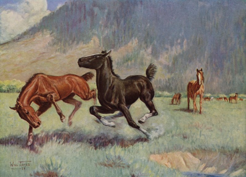 Smoky The Cow Horse alkotó: Unbekannt Unbekannt