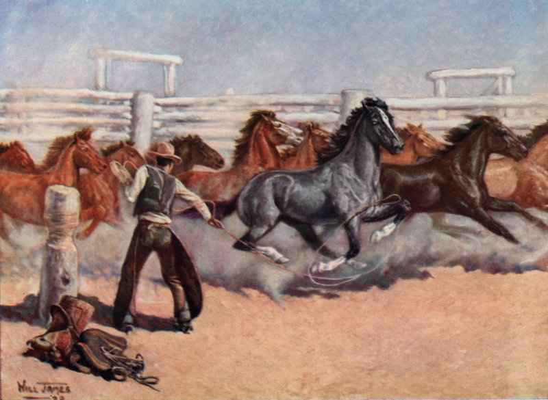 Smoky The Cow Horse alkotó: Unbekannt Unbekannt