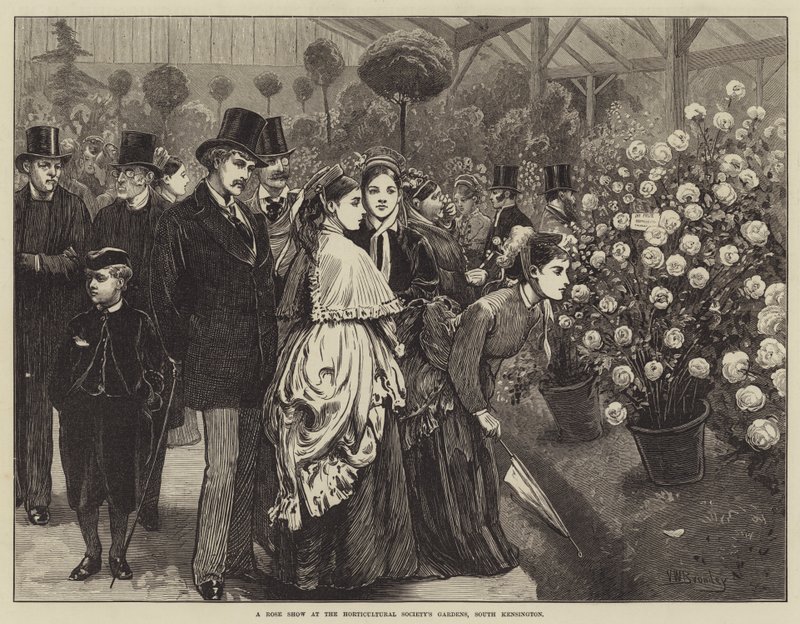 Rózsabemutató a Kertészeti Társaság kertjében, South Kensingtonban alkotó: Valentine Walter Lewis Bromley