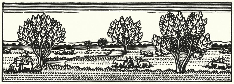 Illusztráció: Tess Of The D’Urbervilles, Thomas Hardy (metszet) alkotó: Vivien Gribble