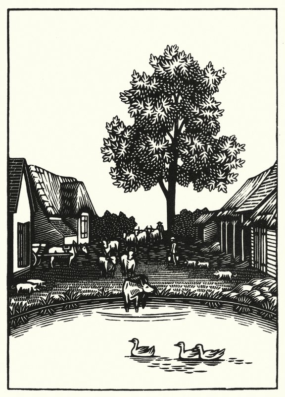 Illusztráció: Tess Of The D’Urbervilles, Thomas Hardy (metszet) alkotó: Vivien Gribble