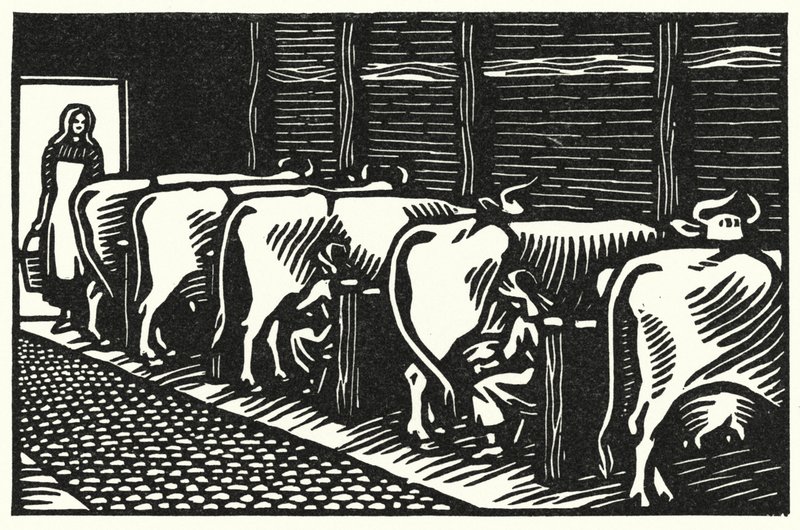 Illusztráció: Tess Of The D’Urbervilles, Thomas Hardy (metszet) alkotó: Vivien Gribble