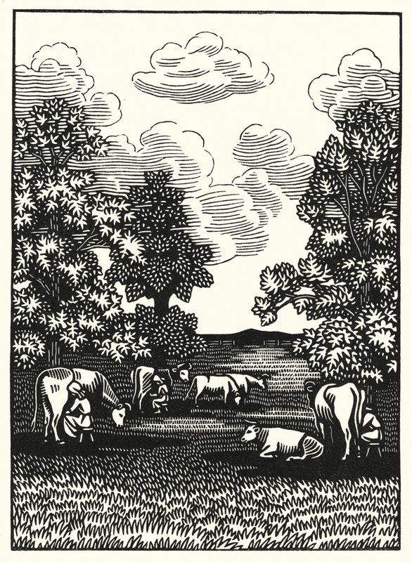 Illusztráció: Tess Of The D’Urbervilles, Thomas Hardy (metszet) alkotó: Vivien Gribble