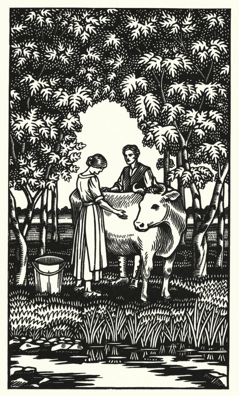 Illusztráció: Tess Of The D’Urbervilles, Thomas Hardy (metszet) alkotó: Vivien Gribble