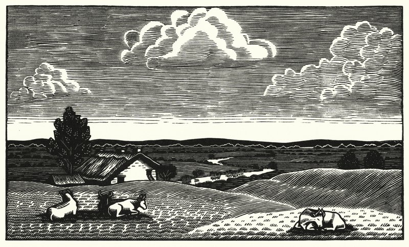 Illusztráció: Tess Of The D’Urbervilles, Thomas Hardy (metszet) alkotó: Vivien Gribble