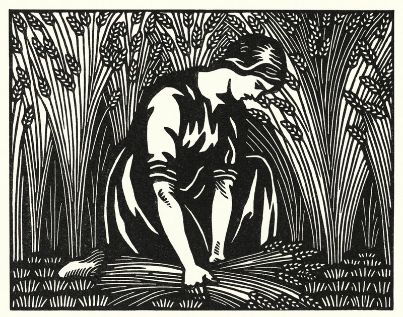 Illusztráció: Tess Of The D’Urbervilles, Thomas Hardy (metszet) alkotó: Vivien Gribble