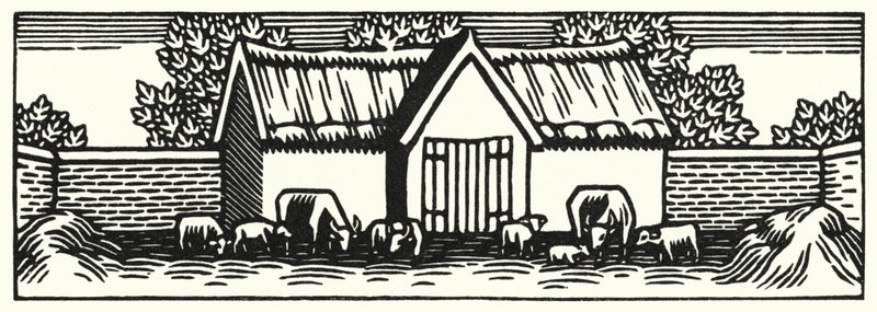 Illusztráció: Tess Of The D’Urbervilles, Thomas Hardy (metszet) alkotó: Vivien Gribble