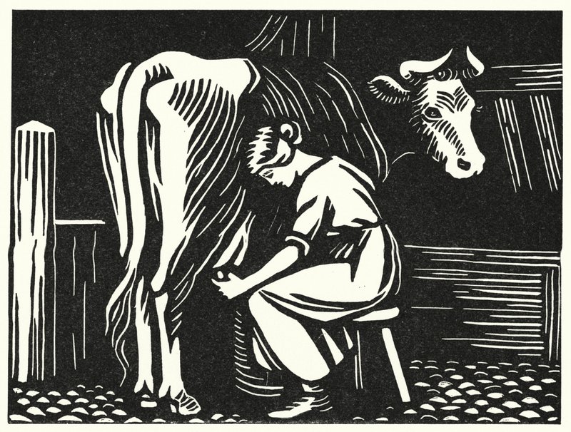 Illusztráció: Tess Of The D’Urbervilles, Thomas Hardy (metszet) alkotó: Vivien Gribble