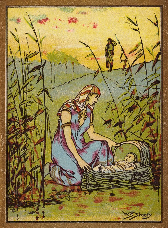 Mózes megtalálása (színes litográfia) alkotó: W.S. Stacey