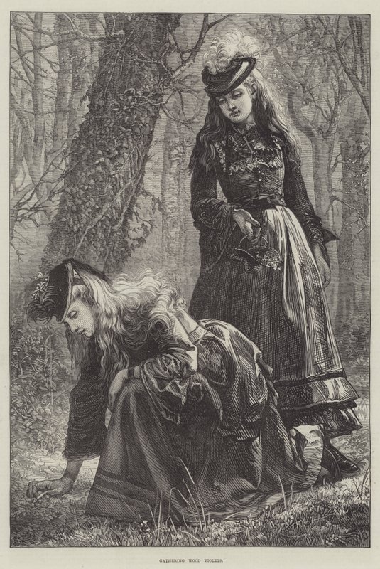 Faibolya gyűjtése alkotó: Walter Duncan