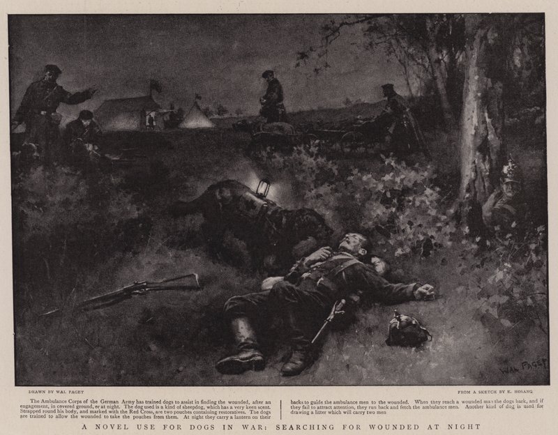 Újszerű felhasználás kutyáknak háborúban, a Wounded at Night keresésében alkotó: Walter Stanley Paget