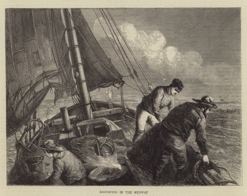 Garnélarák a Medway-ben alkotó: Walter William May