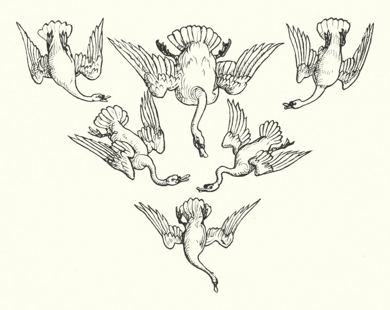 The Six Swans (engraving) alkotó: Walter (after) Crane