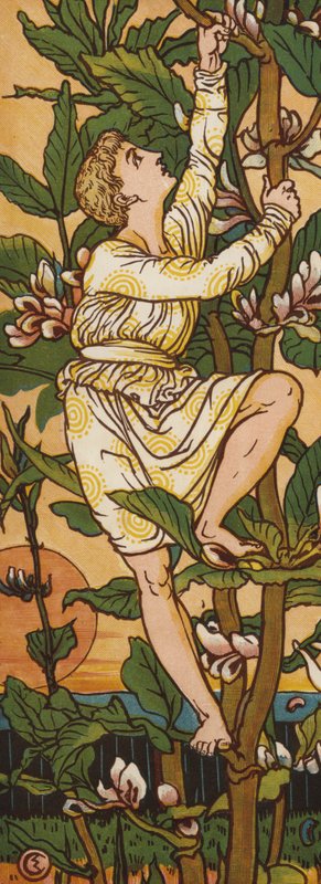 Jack és a babszár (színes litó) alkotó: Walter Crane
