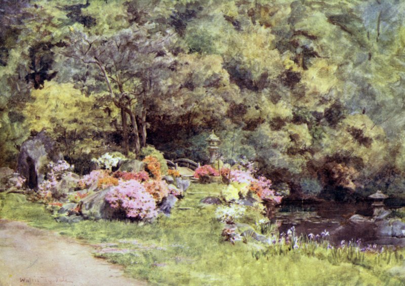 Azáleák a Choinban a kiotói Temple Gardensben alkotó: Walter Frederick Roofe Tyndale