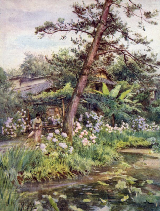 Hortenziák a Tea Gardenben, Nichi Otaniban, Kiotóban alkotó: Walter Frederick Roofe Tyndale