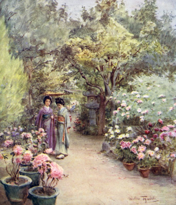 Pünkösdi rózsa egy teakertben, Kyoto alkotó: Walter Frederick Roofe Tyndale