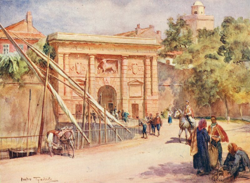 Terraferma tartó, Zara (színes litográfia) alkotó: Walter Frederick Roofe Tyndale