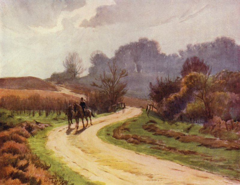 Az új erdő: Beaulieu, Lyndhurst (színes litó) alkotó: Walter Frederick Roofe Tyndale