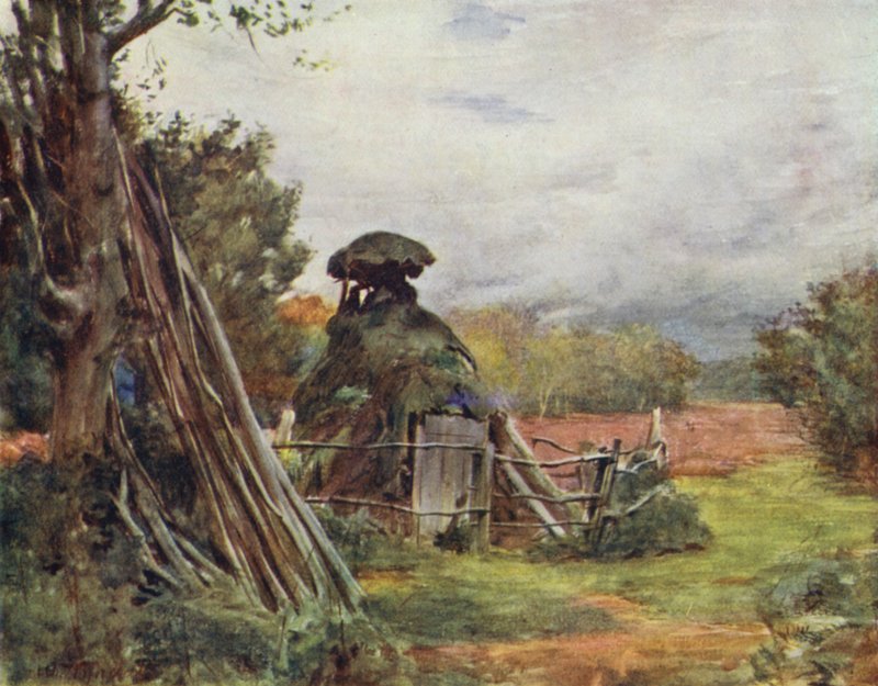 Az új erdő: Faszénégető kunyhója, Markash (színes litó) alkotó: Walter Frederick Roofe Tyndale