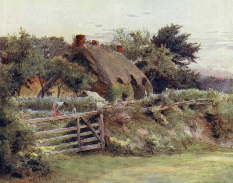 Az új erdő: kunyhó Brokenhurst közelében (színes litó) alkotó: Walter Frederick Roofe Tyndale