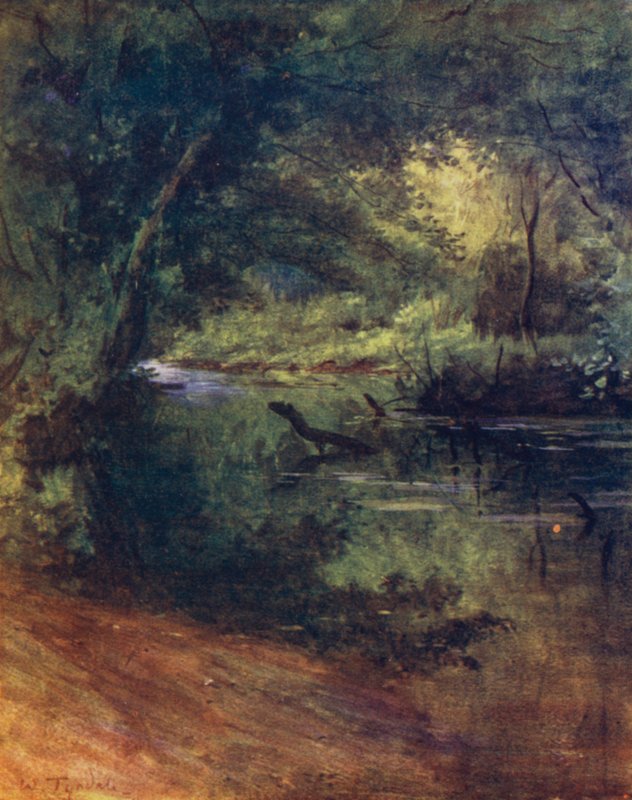 Az új erdő: Northgate, Culverley közelében, a Lodge Walk-ban (színes litó) alkotó: Walter Frederick Roofe Tyndale