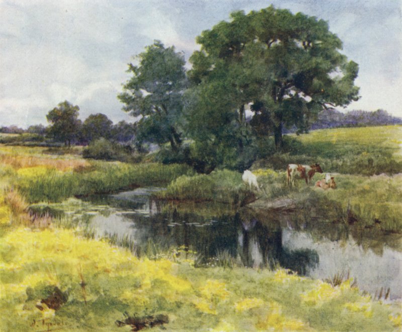 Az új erdő: a Lymington folyón (színes litó) alkotó: Walter Frederick Roofe Tyndale