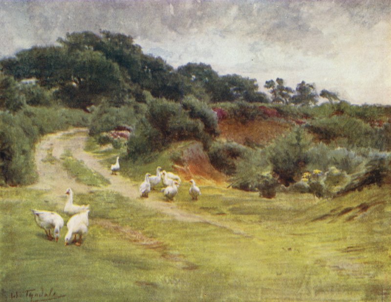 Az új erdő: Royden Common, Brokenhurst közelében (színes litho) alkotó: Walter Frederick Roofe Tyndale