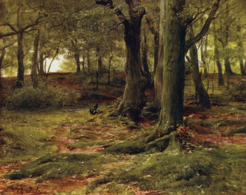 Az új erdő: The Hill Woods, Lyndhurst (színes litó) alkotó: Walter Frederick Roofe Tyndale
