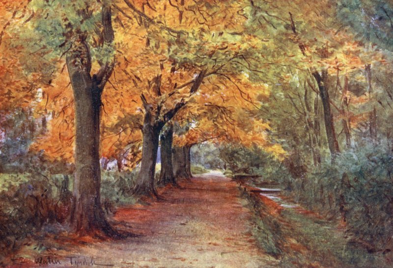 Wessex: Bockhampton Bank, Dorchester közelében (színes litográfia) alkotó: Walter Frederick Roofe Tyndale