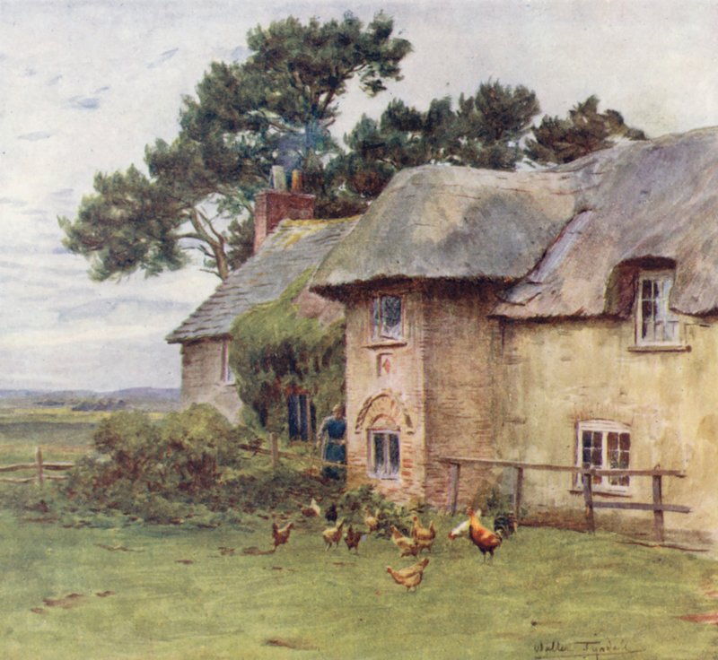 Wessex: Cottages at Stoke (színes litográfia) alkotó: Walter Frederick Roofe Tyndale