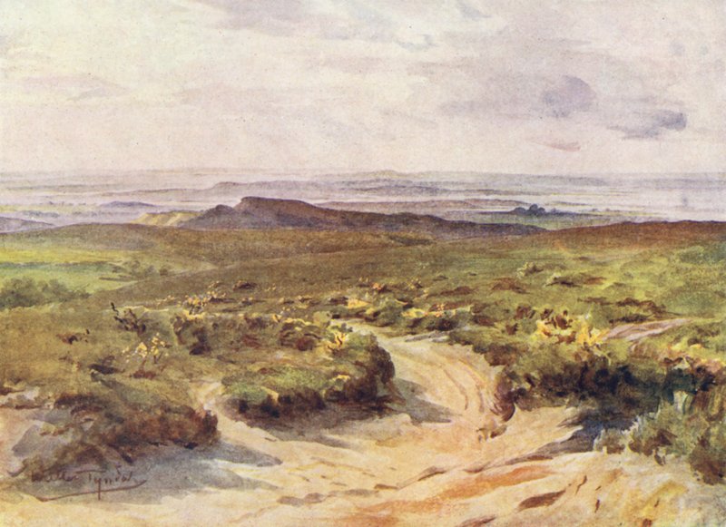 Wessex: Studland Heath, a távolban Poole kikötője (színes litográfia). alkotó: Walter Frederick Roofe Tyndale