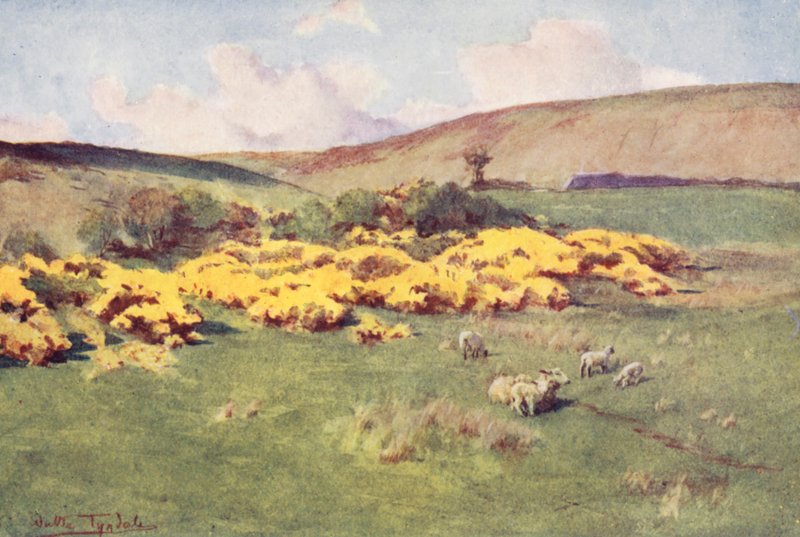 Wessex: Wessex-i nyár (színes litográfia) alkotó: Walter Frederick Roofe Tyndale