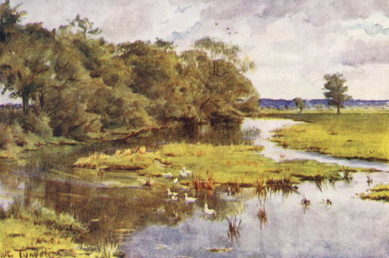 Wessex: Frome a Bockhampton hídról (színes litográfia). alkotó: Walter Frederick Roofe Tyndale