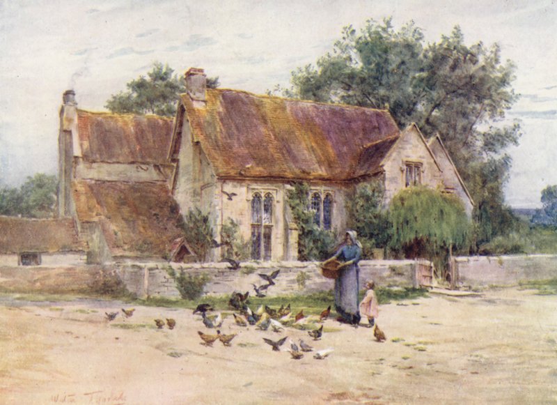 Wessex: Mere melletti erdőségek, Wilts (színes litográfia) alkotó: Walter Frederick Roofe Tyndale