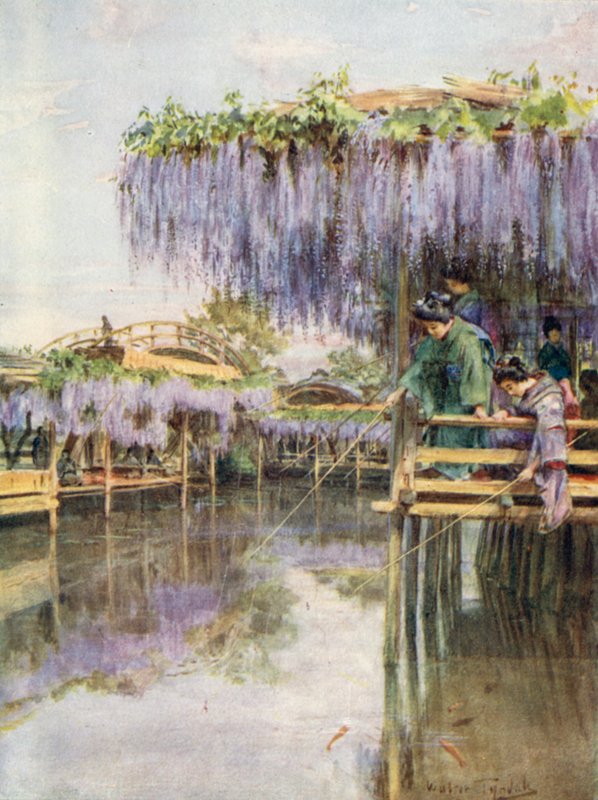 Wistaria Kameidóban alkotó: Walter Frederick Roofe Tyndale