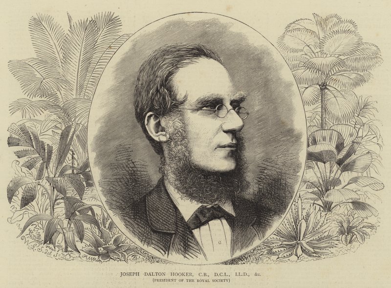 Joseph Dalton Hooker, CB, DCL, LLD, stb. alkotó: Walter Granville Smith