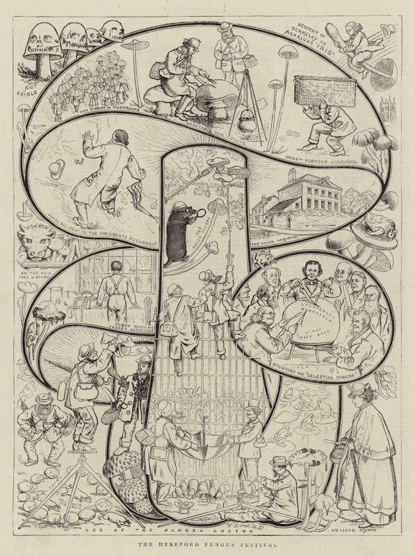 Hereford Gombafesztivál alkotó: Walter Granville Smith
