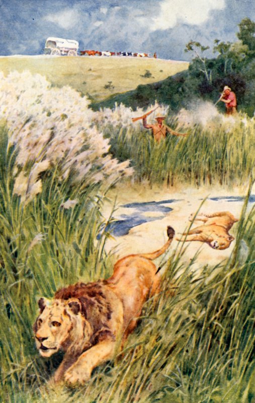 A párt búrái bátran nekimentek egy oroszlánnak és egy oroszlánlánynak alkotó: Walter Stanley Paget