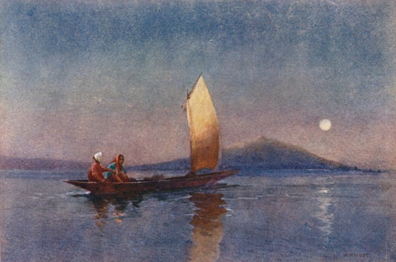 Új-Zéland: Roto-rua-tónál (színes litográfia) alkotó: Walter Wright