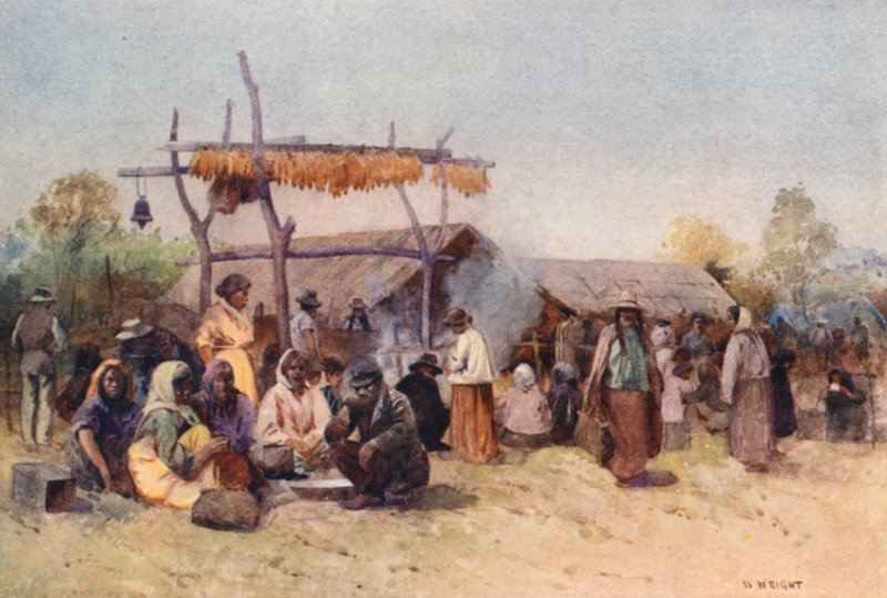 Új-Zéland: (színes litográfia) alkotó: Walter Wright