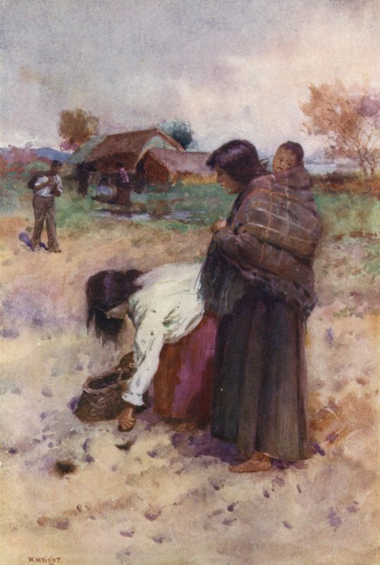 Új-Zéland: (színes litográfia) alkotó: Walter Wright