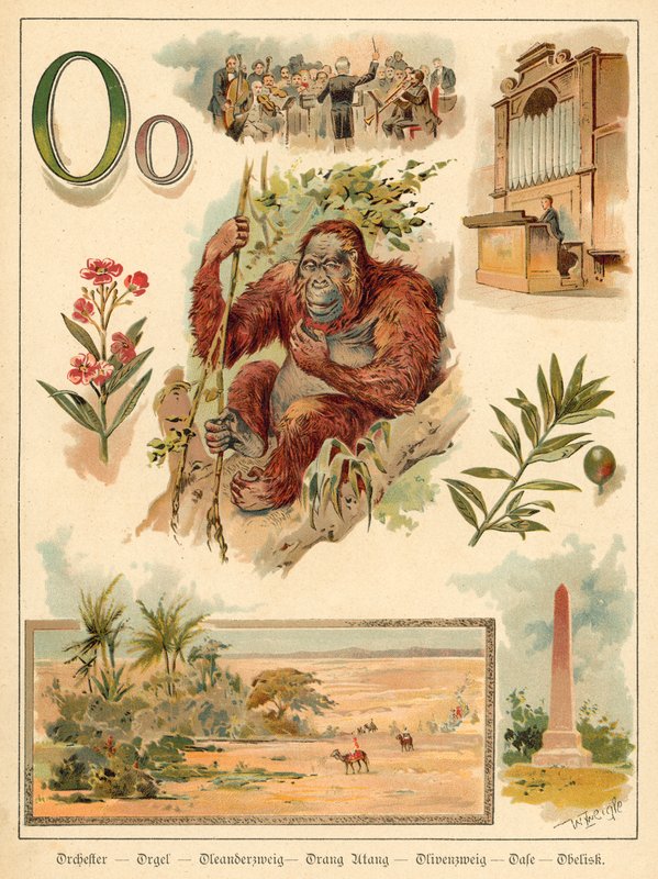 O betű (chromolitho) alkotó: Walter Zweigle