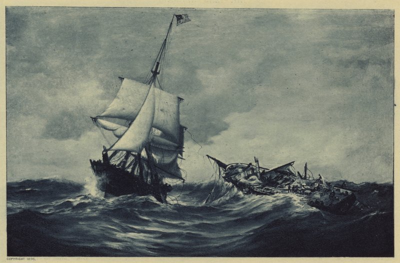 A darázs és a mulatság (litho) alkotó: Warren Sheppard