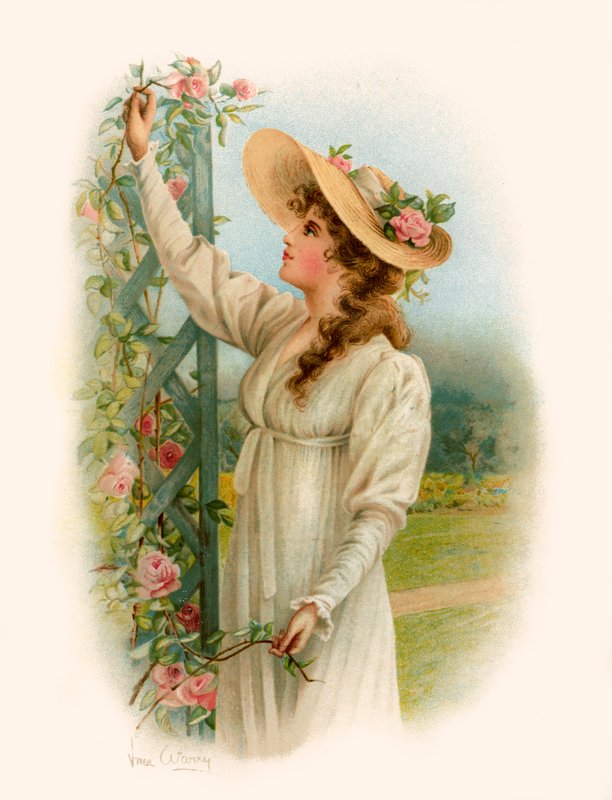 Tennyson Maud alkotó: Warry
