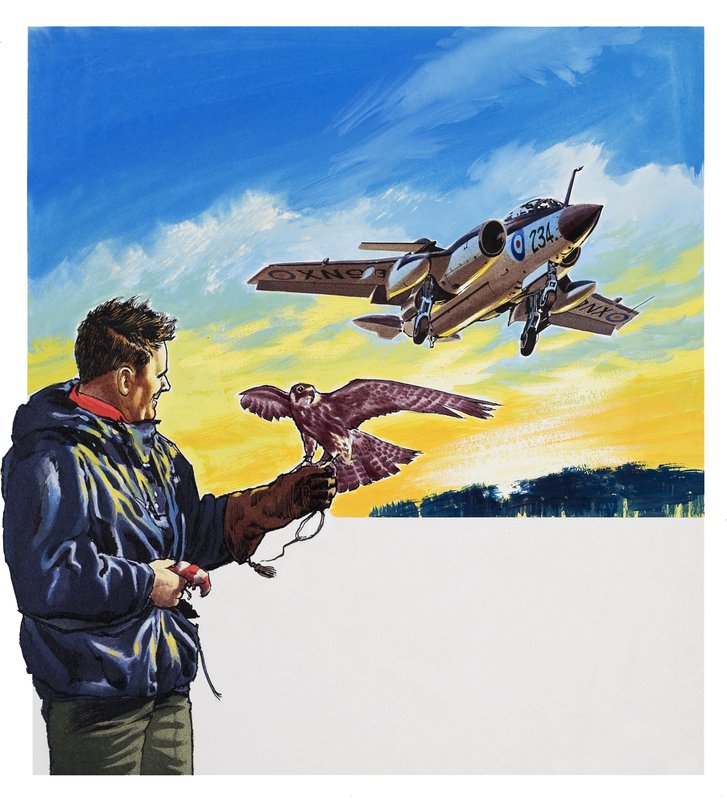 Falcon Flight (gouache, papír) alkotó: Wilf (20th century) Hardy