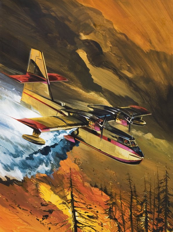 Repülő tűzoltók alkotó: Wilf (20th century) Hardy